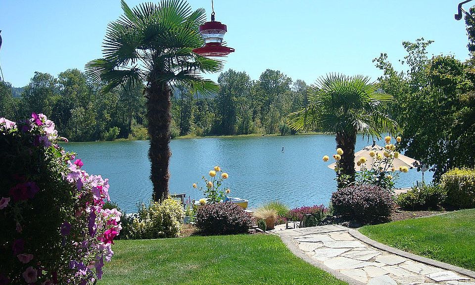 View from Upper Terrace