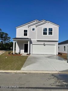 217 Ladyfish Loop Drive NW #86-Boston, Sunset Beach, NC, 28468