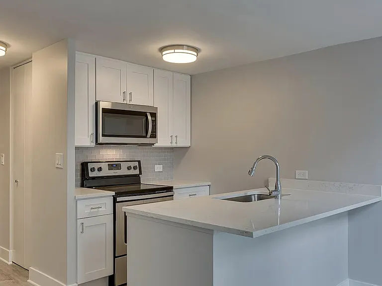 1221 N Dearborn St #806N — Photo 4