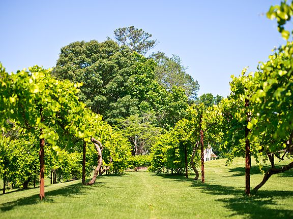 3rd image of 5520 Vineyard Park Trl #16