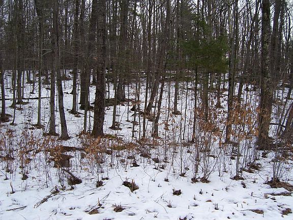 5th image of Houck Dr