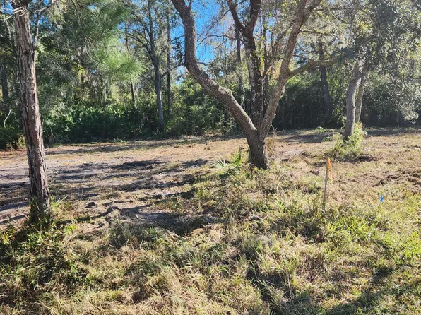 213 BREEZEWAY Avenue, Satsuma, FL 32189