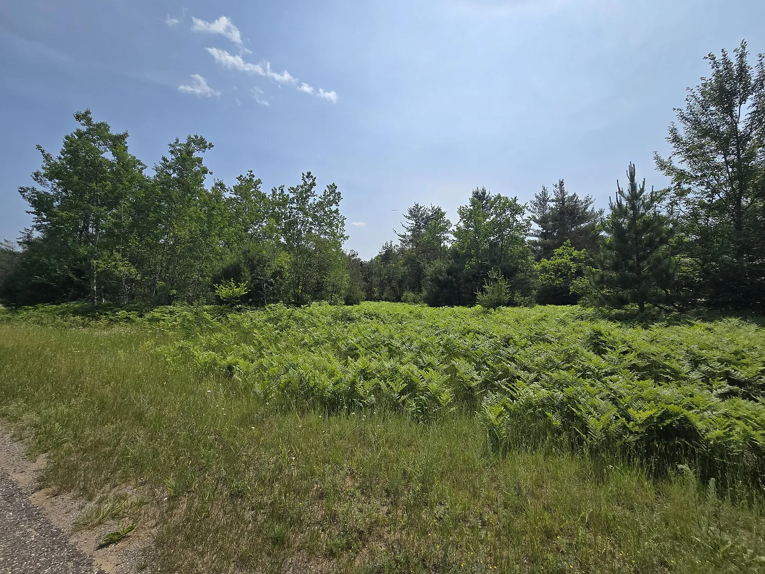 82 Northridge Dr photo 1