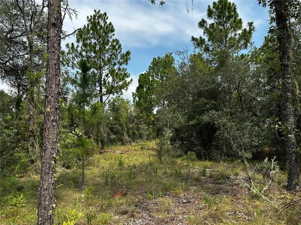 150 SE 144TH AVENUE LOT 4, WILLISTON, FL 32696