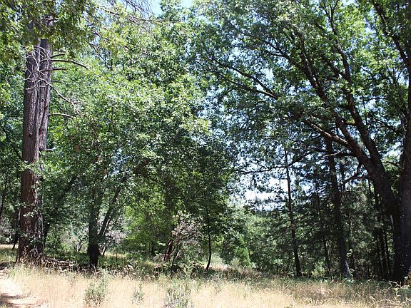 4th image of 901 Bald Mountain Rd