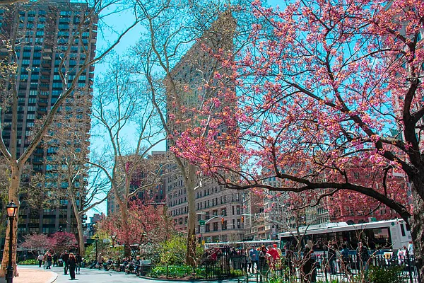 Rented by Luxus Manhattan Realty | media 10