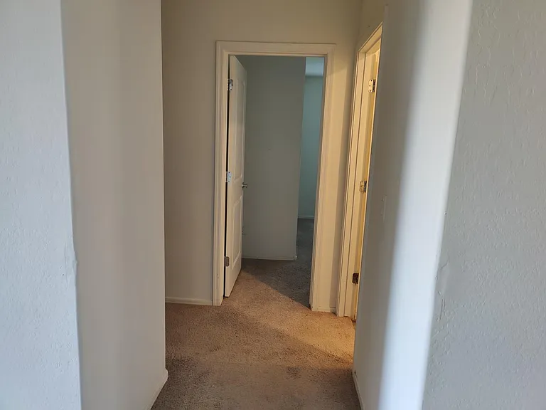 502 W Pintail Dr — Photo 11