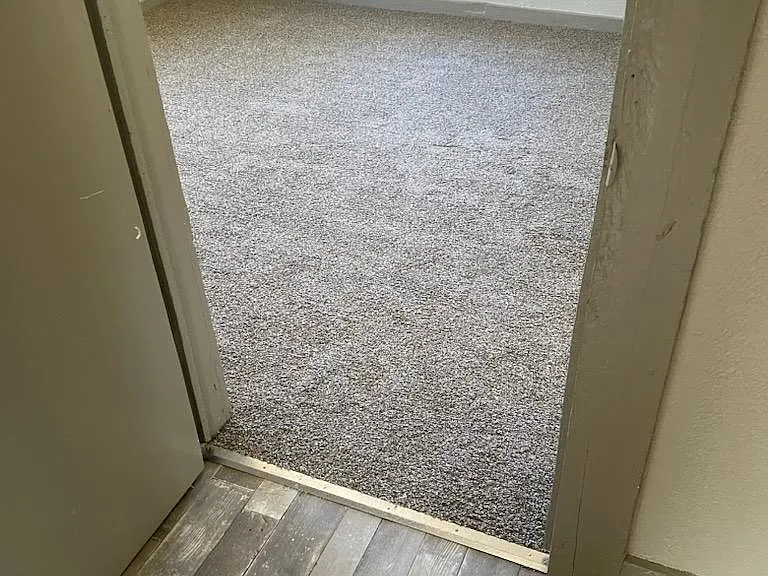 Back Bedroom