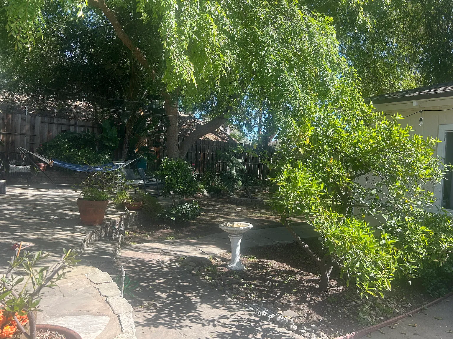 1 bed, 550 sqft, $1,900 — Photo 4