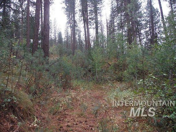 5th image of 6 Clear Creek Cir #5