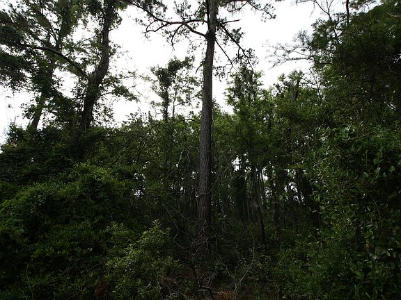 5th image of Lot 75 Yaupon Way LOT 75