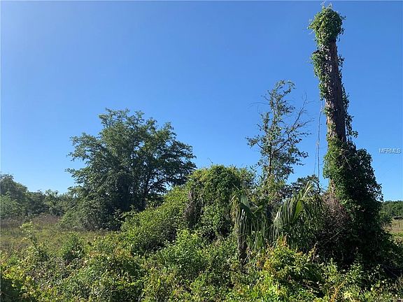 5th image of 25090 SE Highway 42