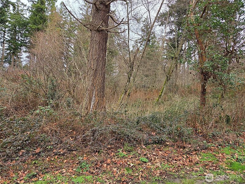 3rd image of 103 B Whidbey Island Drive