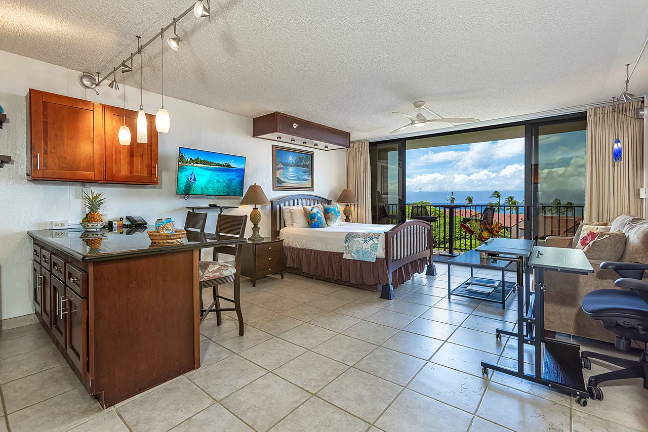 Studio, 507 sqft, $5,000 — Photo 2