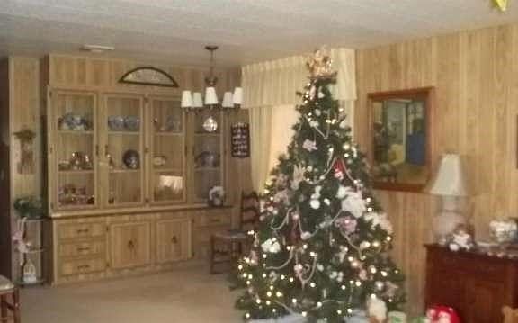 Formal dining area is spacious and has an extremely attractive built-in buffet.  Light colored carpeting and paneling make this area feel open and airy!