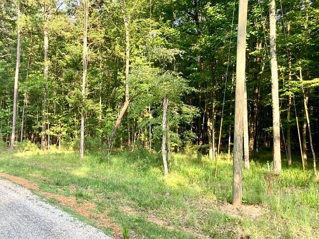2nd image of 55 Timber Ridge Dr #55