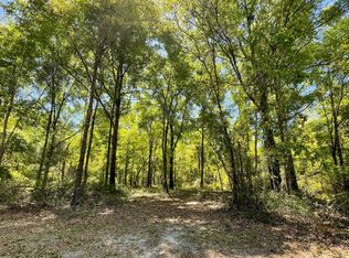 LOT 7 213th Rd, Live Oak, FL 32060