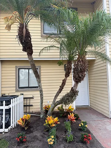 4415 Dylan Loop #180 Photo 1 4415 Dylan Loop #180 Photo 1