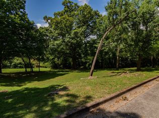 0 Ellison Ave, Branson, MO 65616