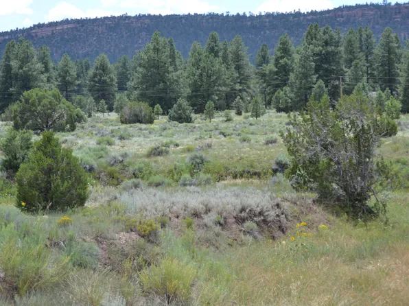 Timberlake Rnch, Ramah, NM 87321