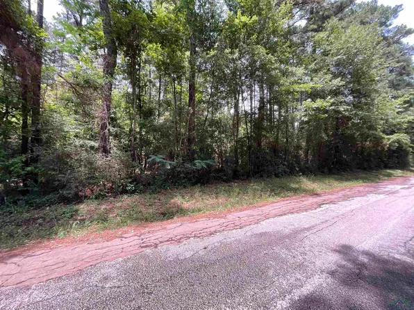 County Road 110, Carthage, TX 75633