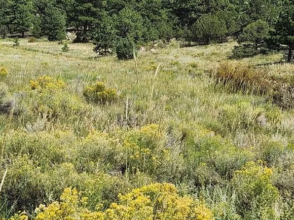 15 Arroyo Ave, Westcliffe, CO 81252