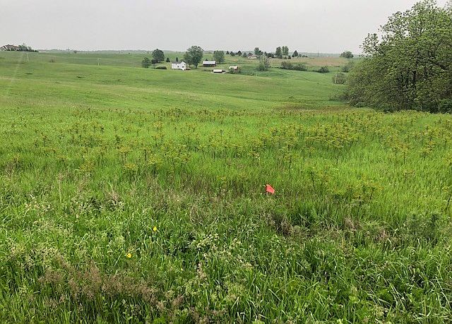 2nd image of 1 Csm Hwy #1918-39