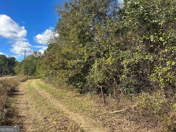 1 Tower Point Rd, Buena Vista, GA 31803