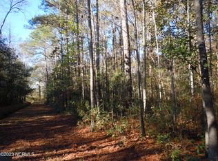 486 Woodrow St, Tabor City, NC 28463