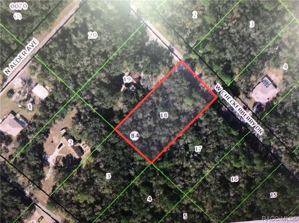 12560 W Checkerberry Dr, Crystal River, FL 34428