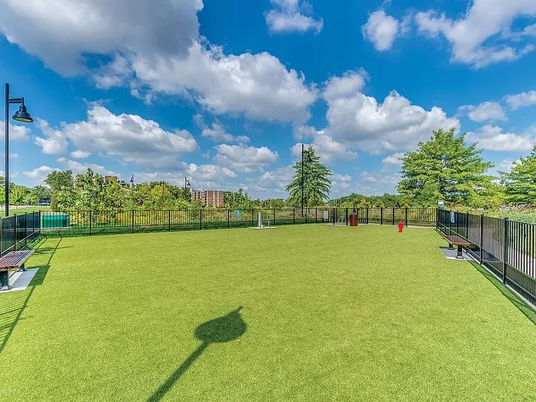 Walk around the lake and stop at the Bark Park!