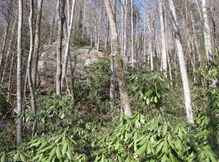 Off Shell Creek Rd, Ferguson, NC 28624