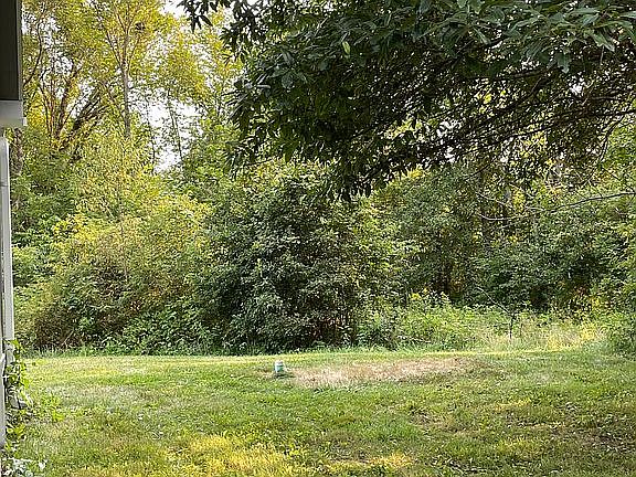 4 acres with woods