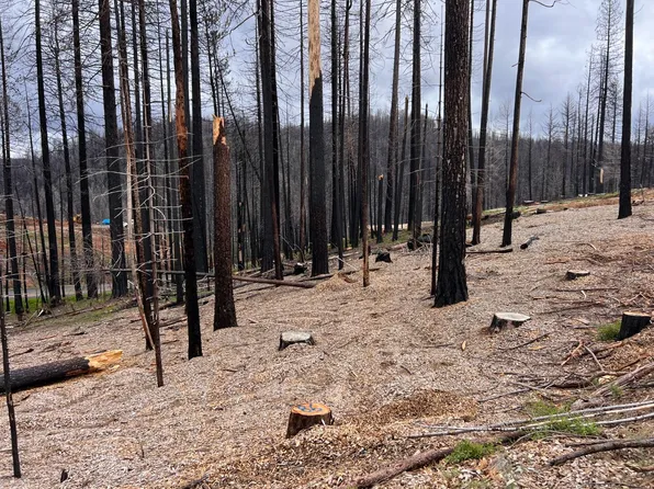 5290 Golden Aspen Dr, Grizzly Flats, CA 95636