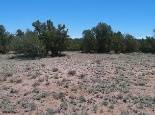 Rio Rd, Concho, AZ 85924