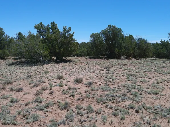 Rio Rd, Concho, AZ 85924