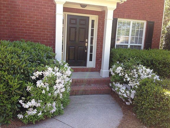 Front Porch, Azaleas