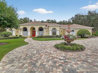 397 W Chase St, Hernando, FL 34442