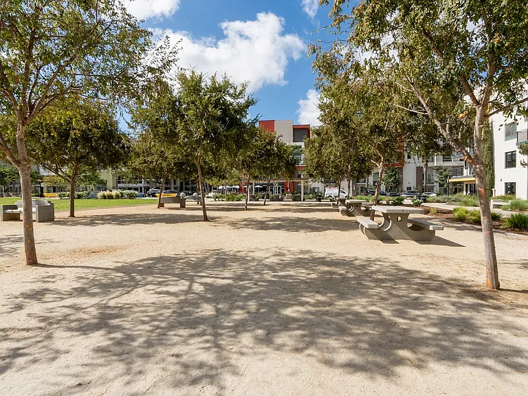 The Vive Collection, San Diego, CA, Centrum Dog Park