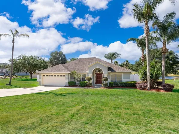1041 HEATHER GLEN DRIVE, MINNEOLA, FL 34715