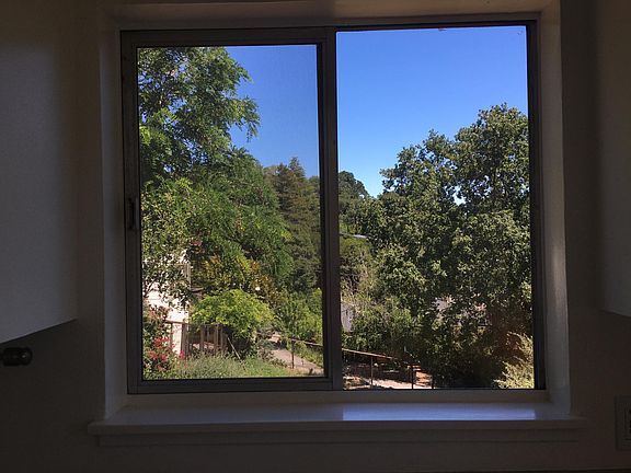 View from kitchen window