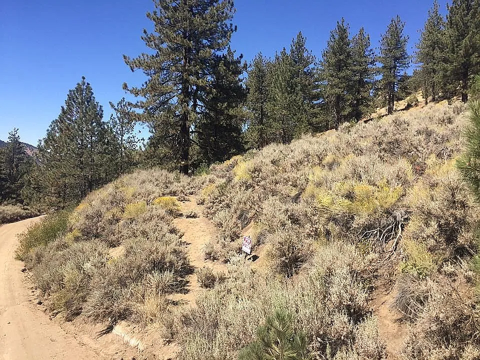 16490 Mountain Climber Way photo 1