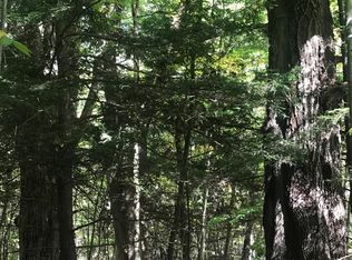 Patent Line Rd, Sidney, NY 13838