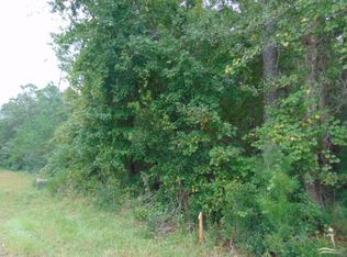 46 Ruffin Ln SW, Supply, NC 28462