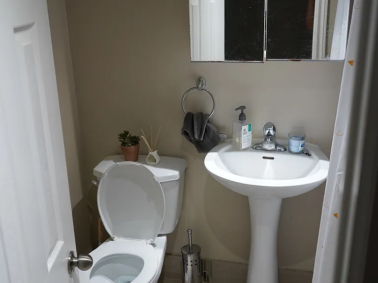 163 Campbell Ave #BASEMENT — Photo 6