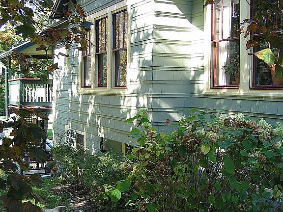 Bright, sunny living room, dining room and kitchen windows