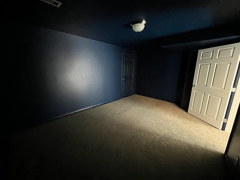 Theater Room with Storage
