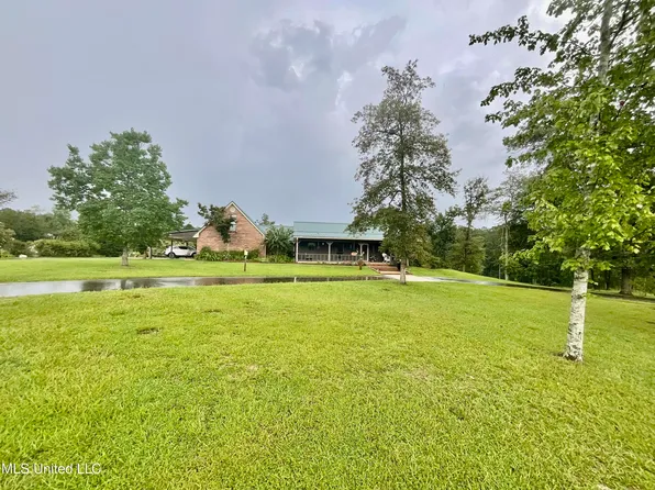 29 Spring Lake Rd, Collins, MS 39428