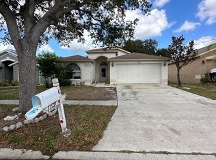 1229 Dragon Head Dr, Valrico, FL 33594