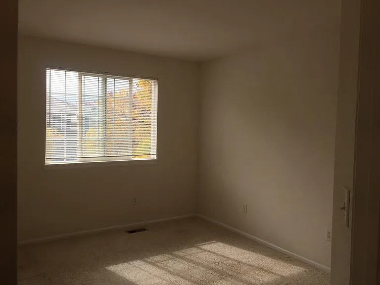 923 Grays Peak Dr — Photo 40